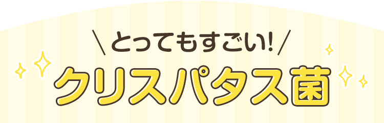 とってもすごい！クリスパタス菌