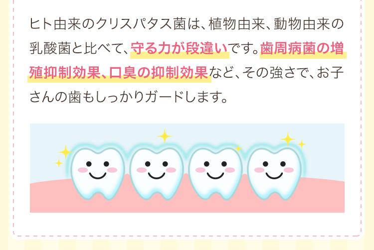 ヒト由来のクリスパタス菌は、植物由来、動物由来の乳酸菌と比べて、守る力が段違いです。歯周病菌の増殖抑制効果、口臭の抑制効果など、その強さで、お子さんの歯もしっかりガードします。