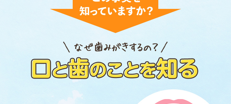 なぜ歯みがきするの？口と歯のことを知る