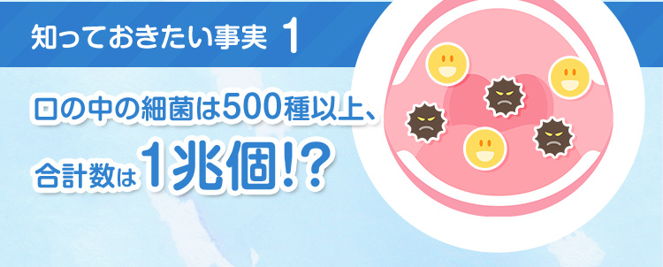 知っておきたい事実1：口の中の細菌は500種以上、合計数は1兆個！？