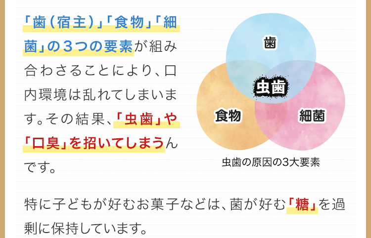 「歯（宿主）」「食物」「細菌」の３つの要素が組み合わさることにより、口内環境は乱れてしまいます。その結果、「虫歯」や「口臭」を招いてしまうんです。特に子どもが好むお菓子などは、菌が好む「糖」を過剰に保持しています。